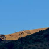 Review photo of Dog Canyon Campground — Guadalupe Mountains National Park by Lee D., November 16, 2022