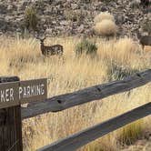 Review photo of Dog Canyon Campground — Guadalupe Mountains National Park by Lee D., November 16, 2022