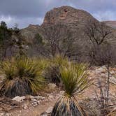 Review photo of Pine Springs Campground — Guadalupe Mountains National Park by Lee D., November 16, 2022