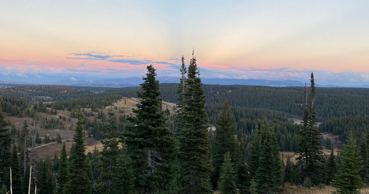 FR 302 Rabbit Ears Pass - dispersed camping