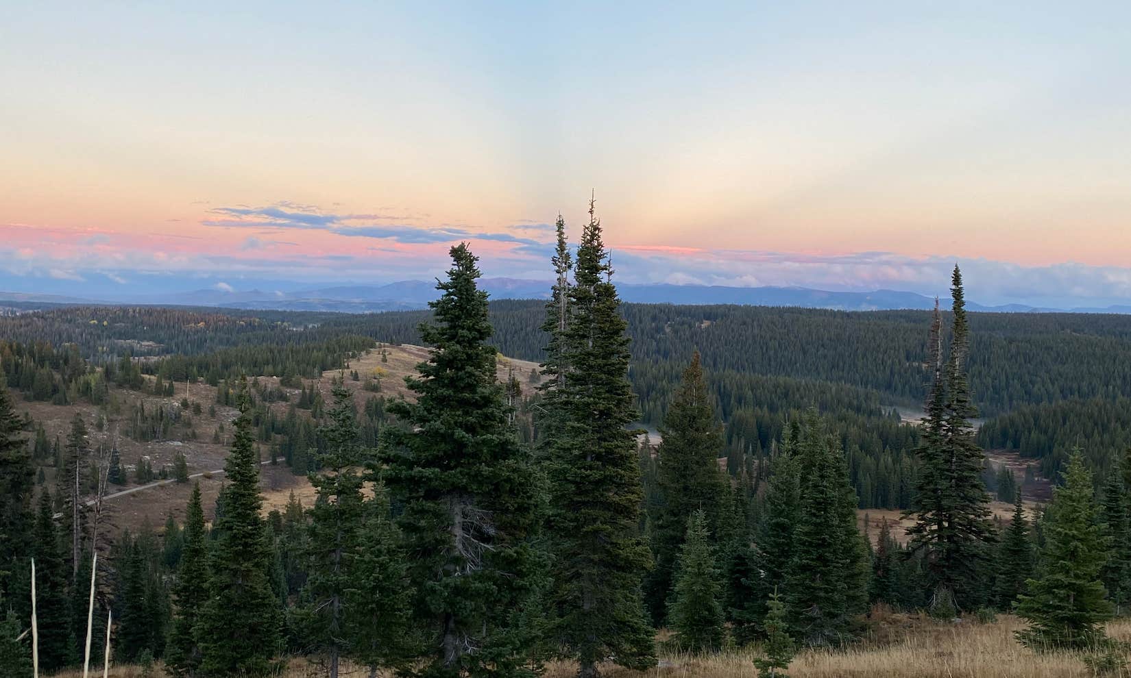 Rabbit's Ear Pass East Summit FR 251 Camping | The Dyrt
