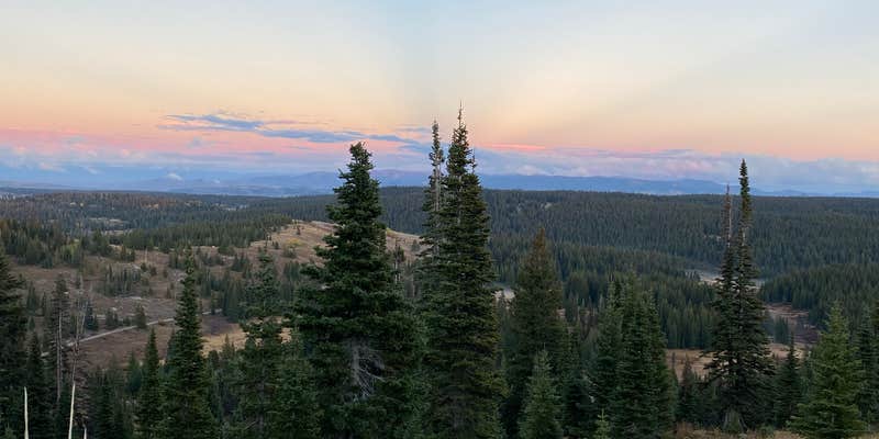 Camper submitted image from FR 302 Rabbit Ears Pass - dispersed camping