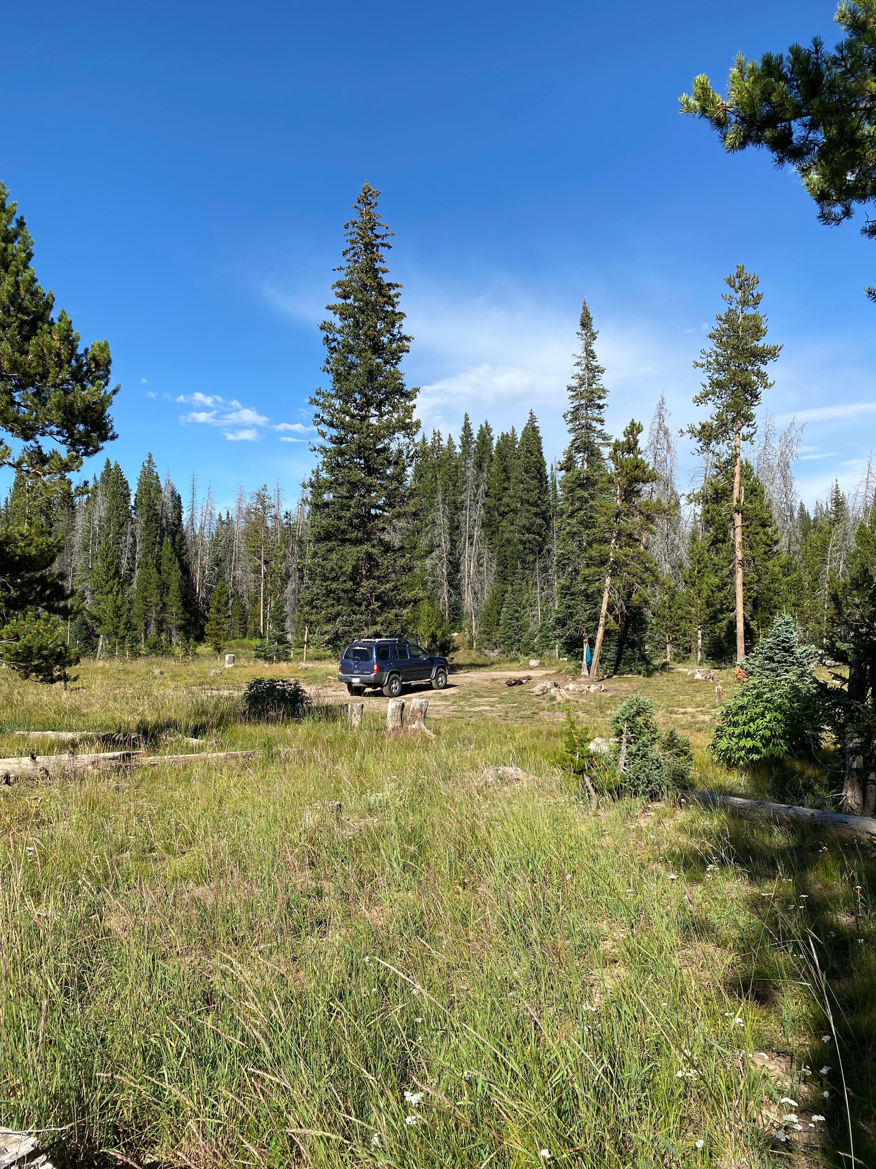 Camper submitted image from FR 302 Rabbit Ears Pass - dispersed camping  - 2