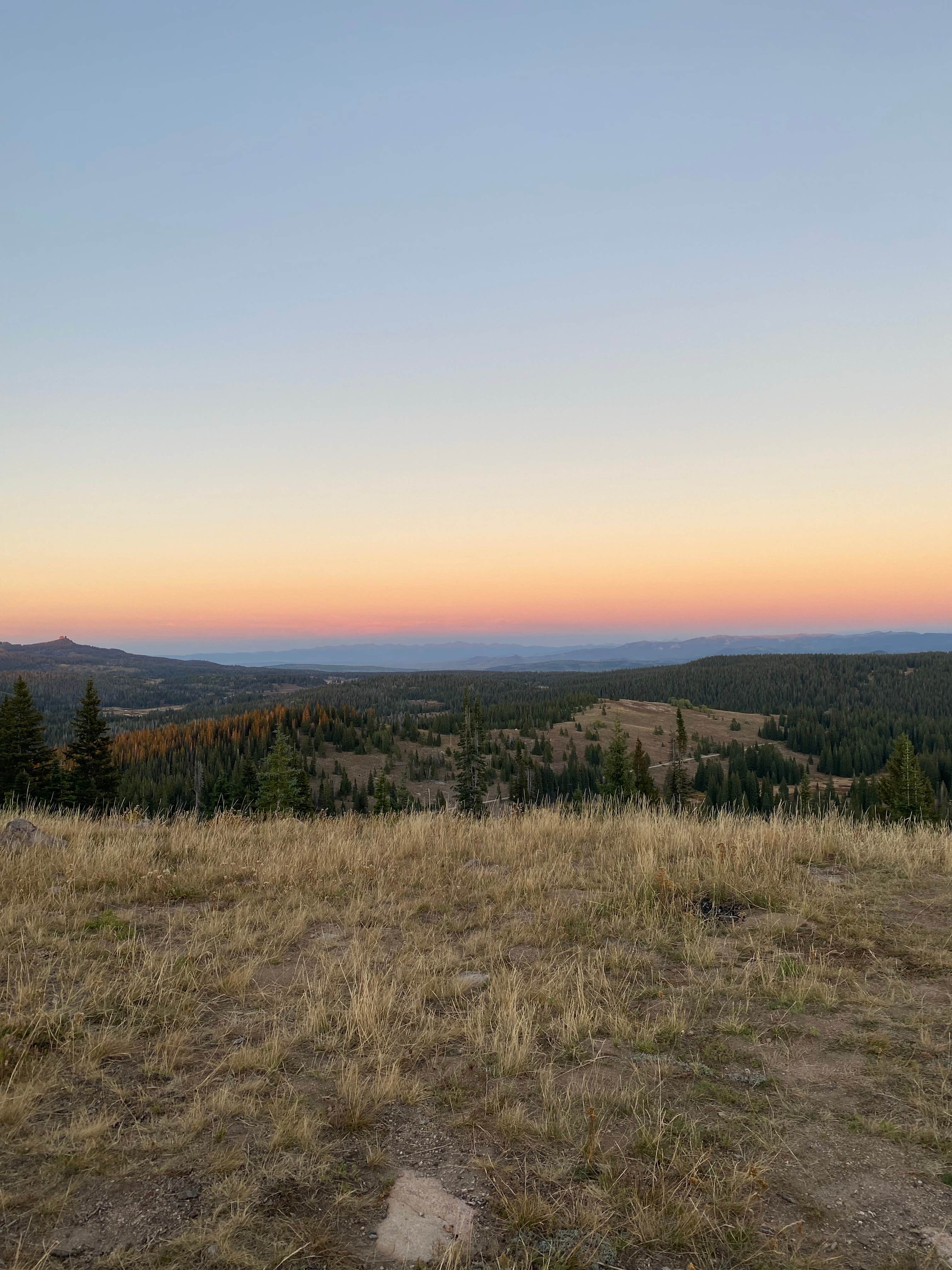 Emma M.'s photo of a dispersed camping area at FR-302 Dispersed Camping - Rabbit Ears Pass near Clark, CO