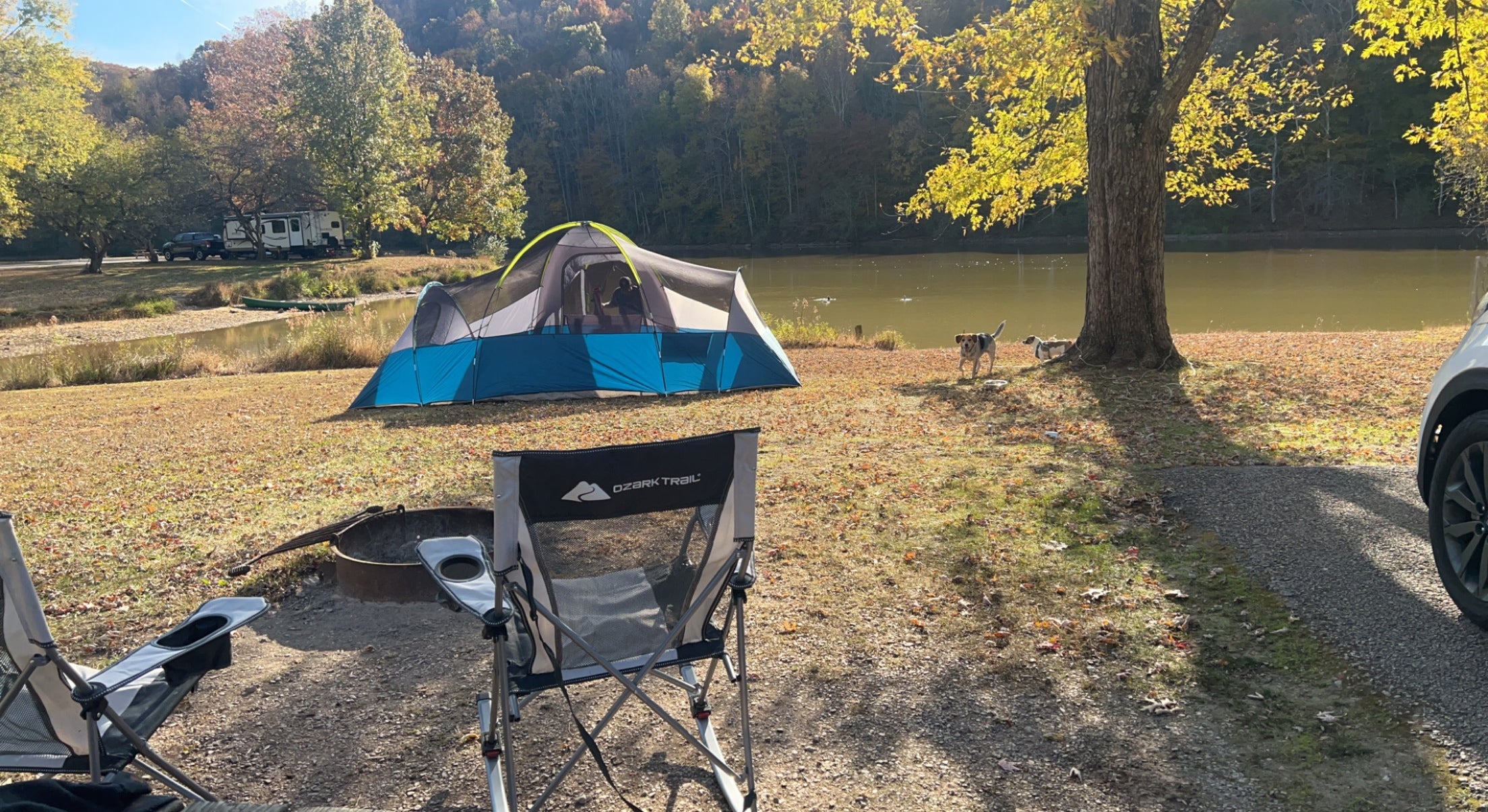 Camper submitted image from Beach Fork Lake Lower Bowen - 1