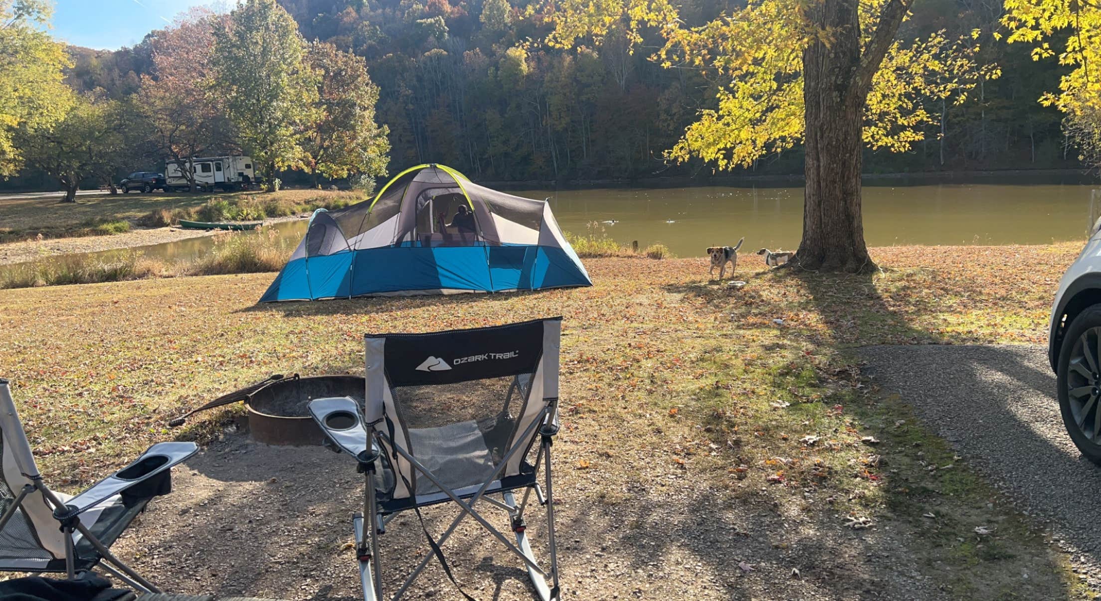 Camper submitted image from Beach Fork Lake Lower Bowen - 1