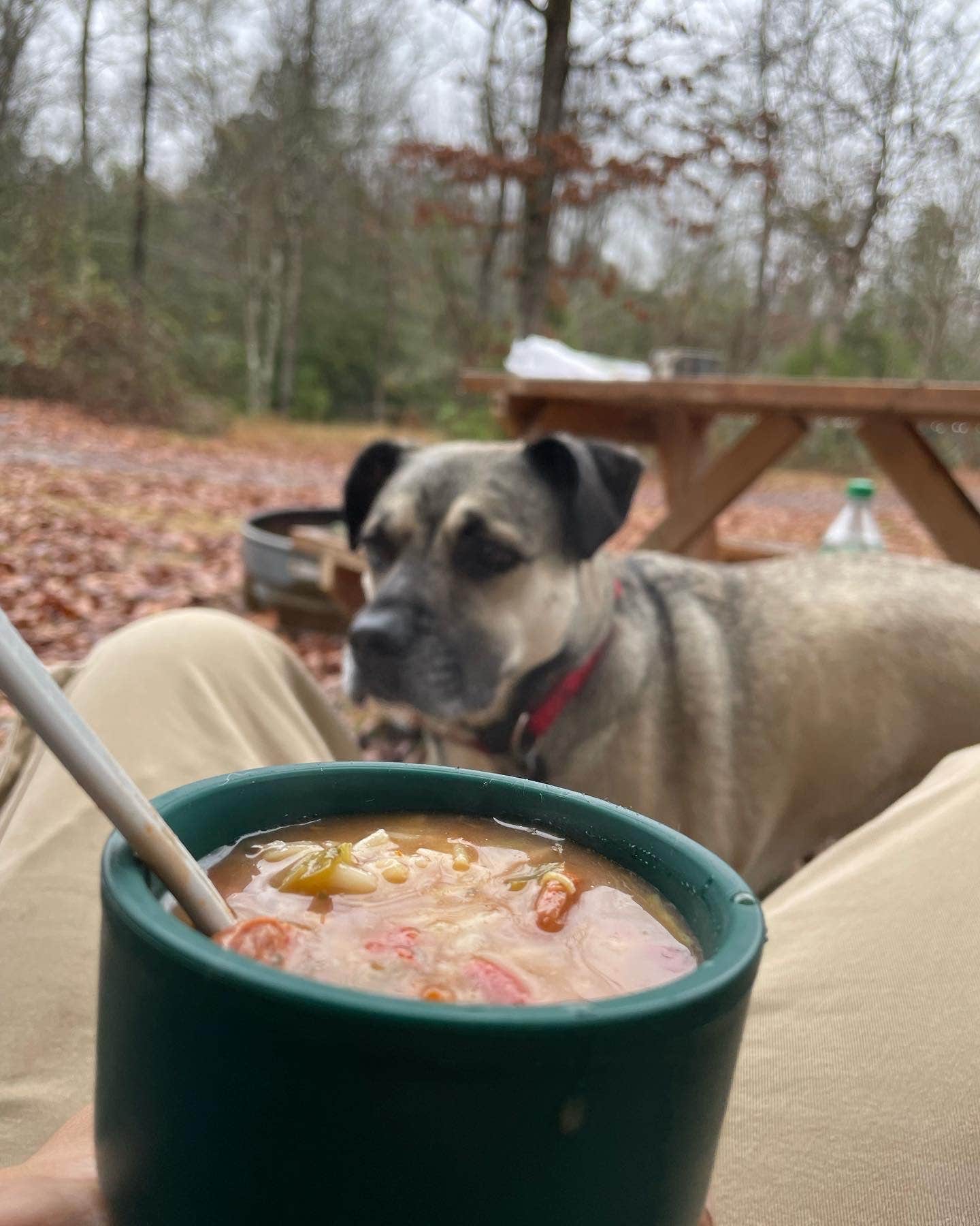 Stoney K.'s photo of camping with pets at Little River Adventure Company near Fort Payne, AL
