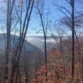 Review photo of Brooklyn Campground — New River Gorge National Park and Preserve by Aspen H., November 16, 2022