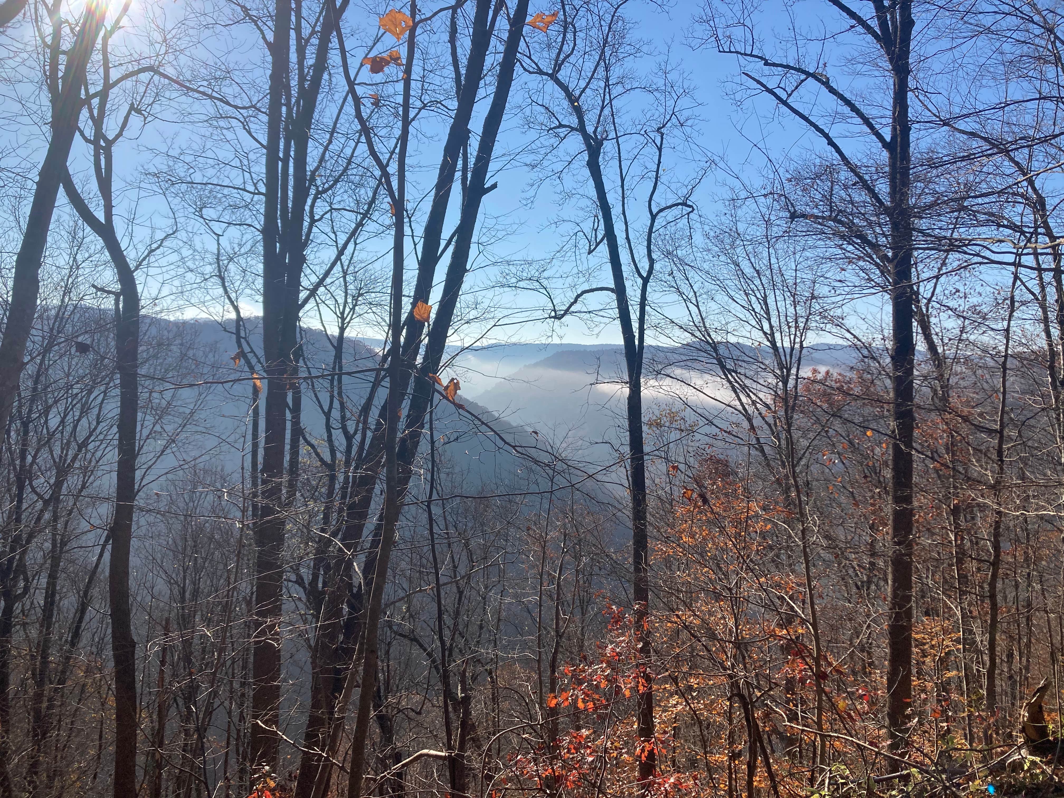 Camper submitted image from Brooklyn Campground — New River Gorge National Park and Preserve - 2