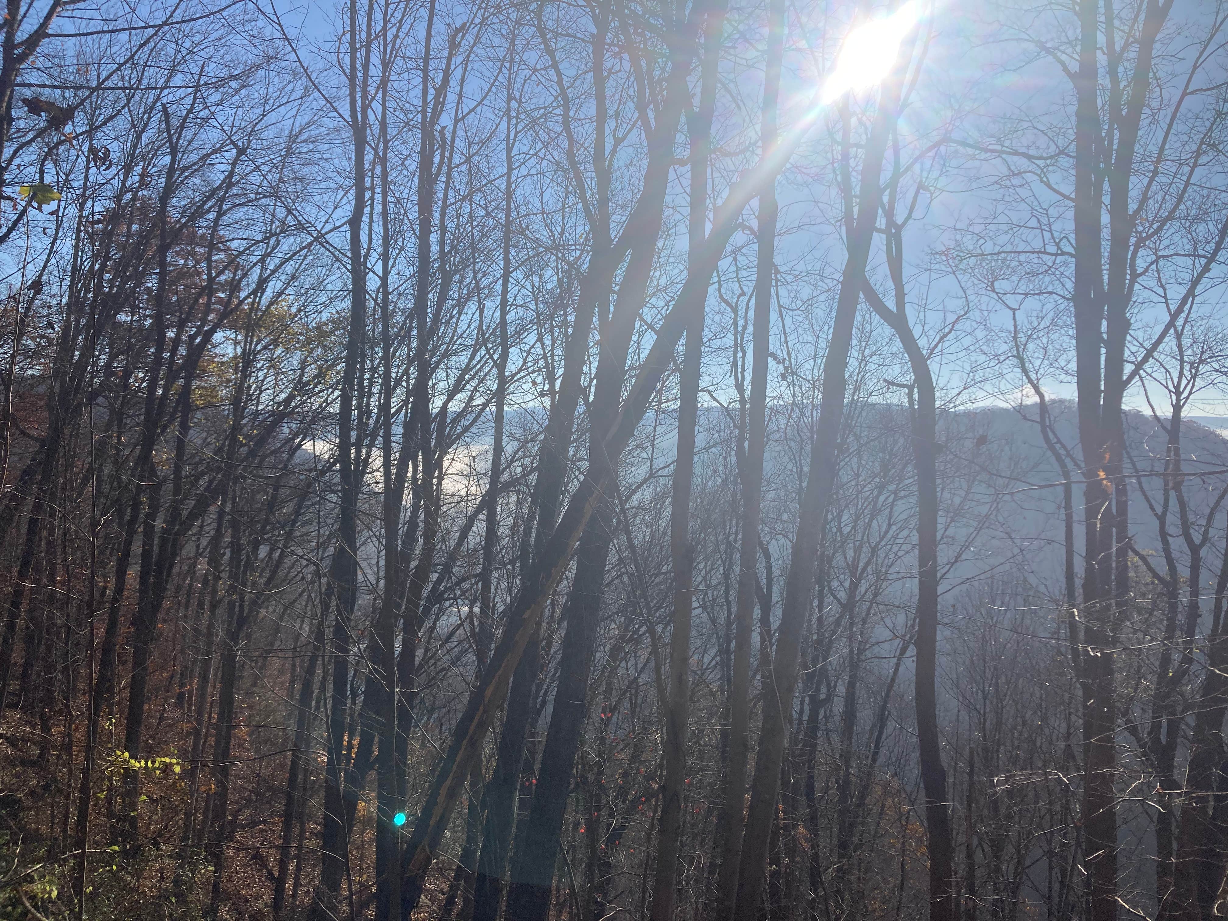 Camper-submitted photo at Brooklyn Campground — New River Gorge National Park and Preserve near Summersville, WV