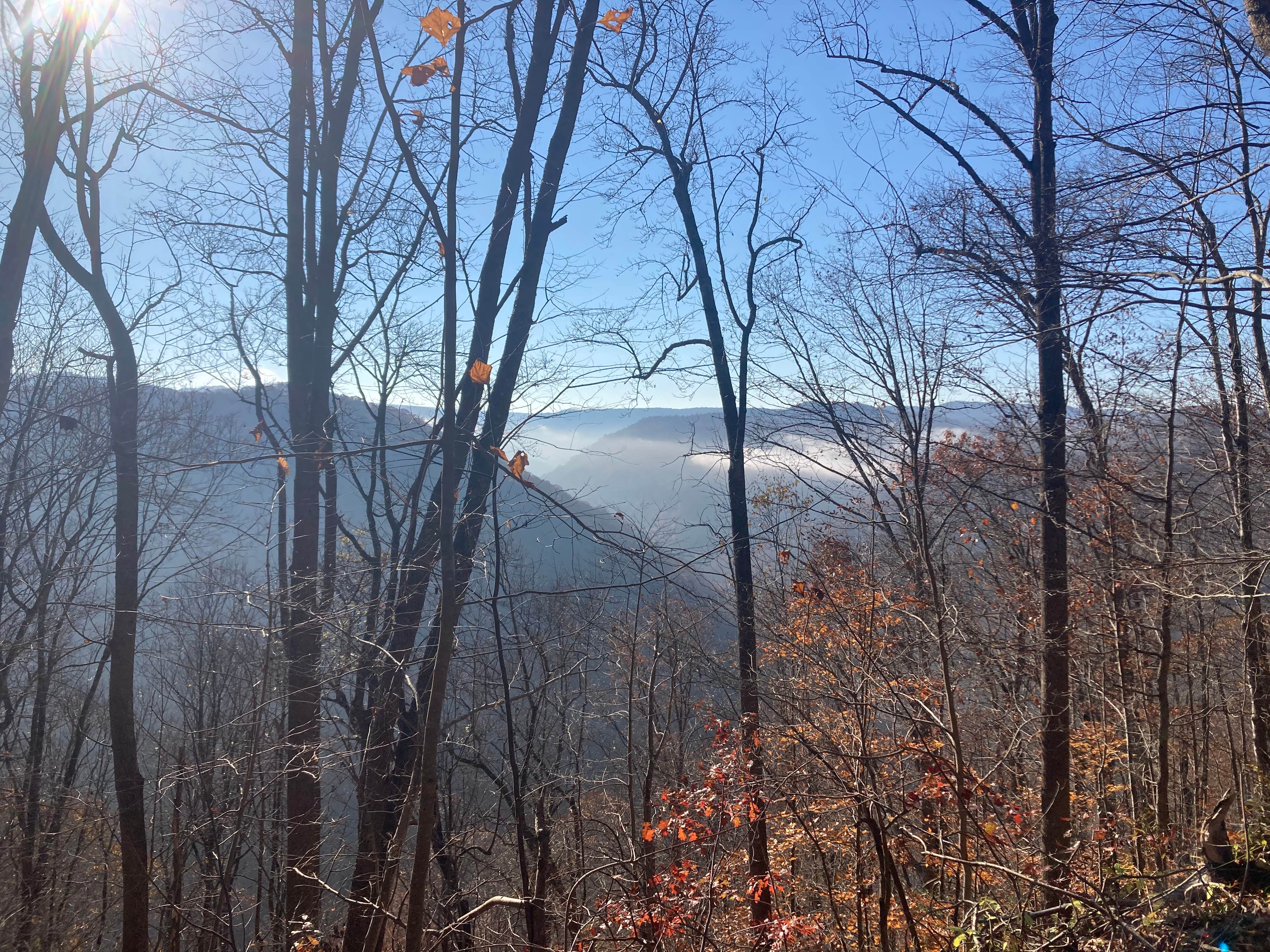 Camper submitted image from Brooklyn Campground — New River Gorge National Park and Preserve - 3