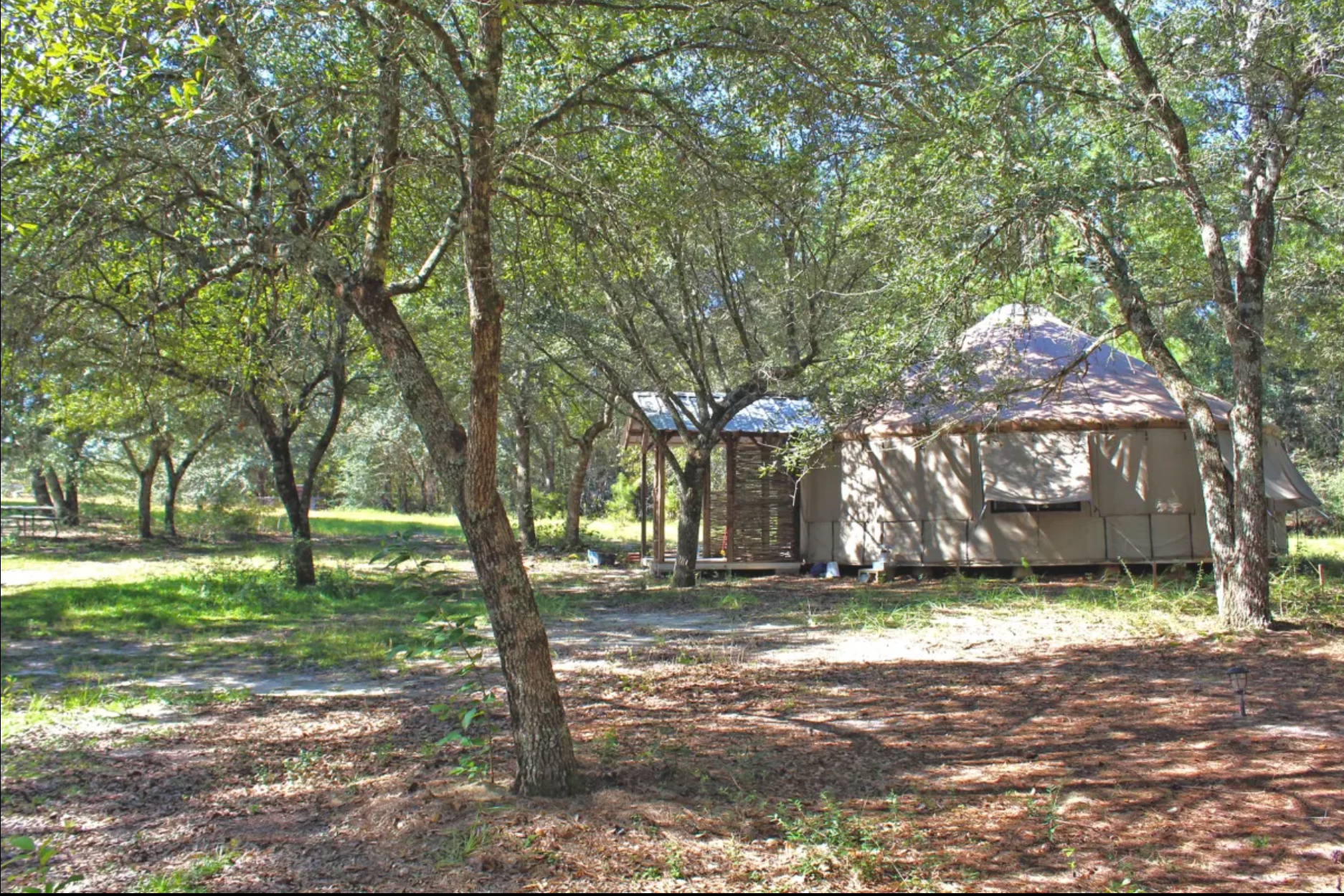 Camper-submitted photo at All You Need Institute - Yurt & Micro Cabin near Purvis, MS