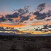 Review photo of Joshua Tree South - BLM Dispersed by Laura M., November 13, 2022