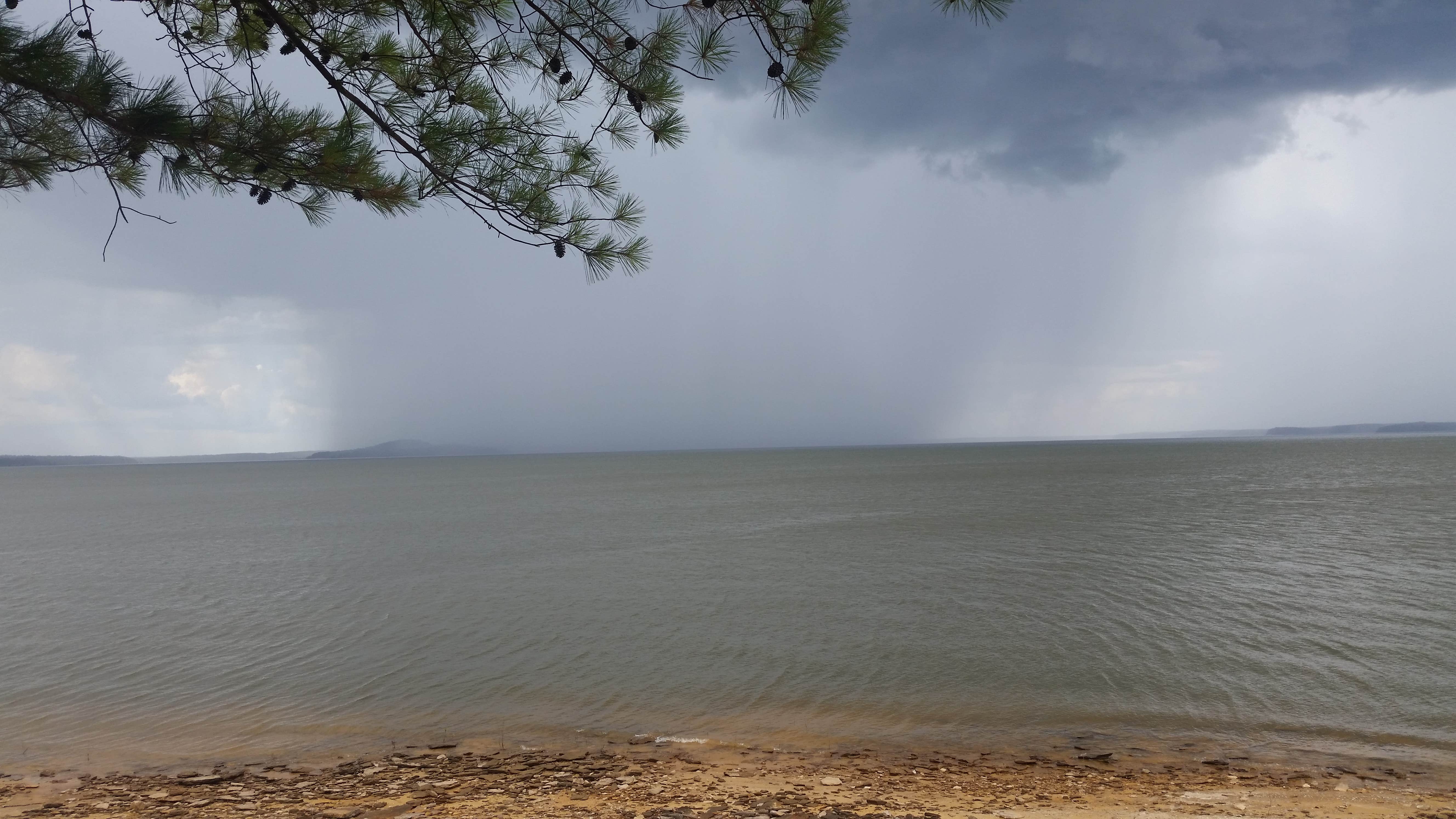 Camper-submitted photo at Eagle Point Primitive Campground near McCool, MS