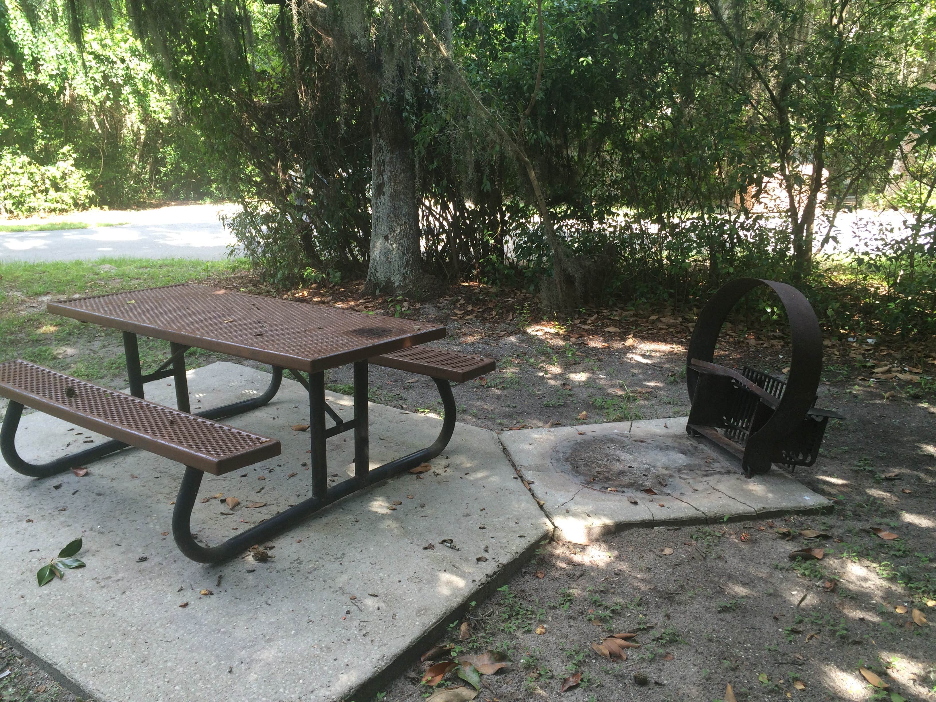 Camper submitted image from Magnolia Park Campground - 2