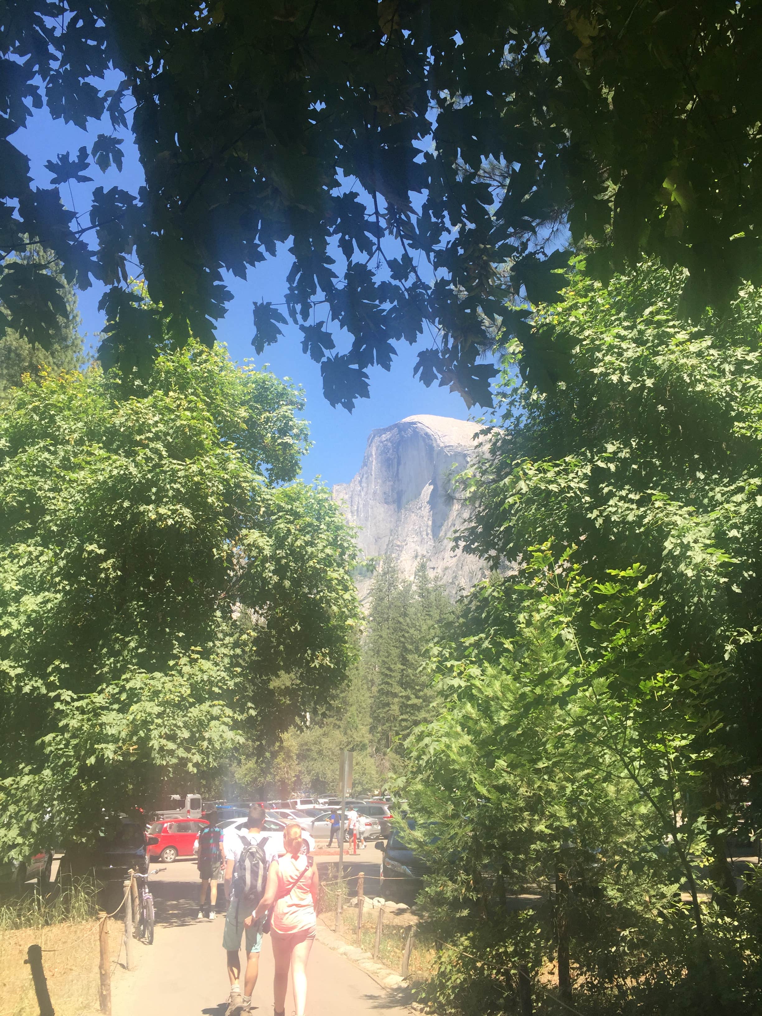 Camper submitted image from Upper Pines Campground — Yosemite National Park - 4