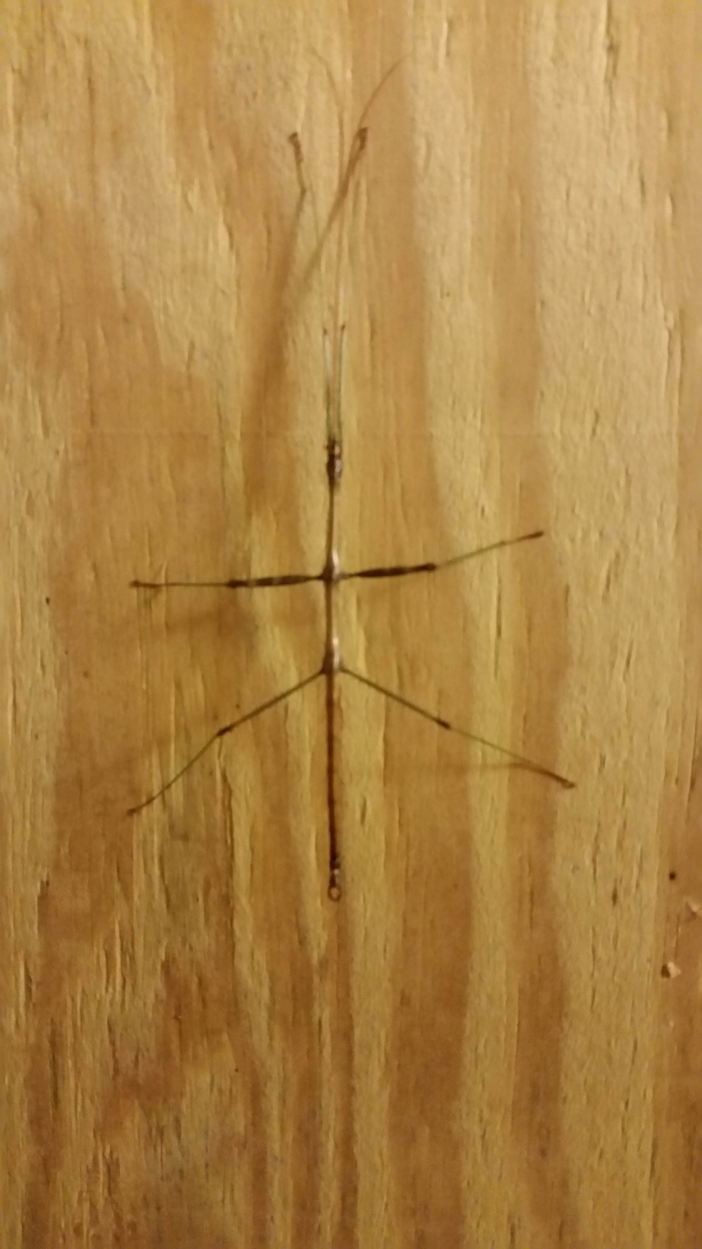 Camper-submitted photo at Hernando Point in Mississippi