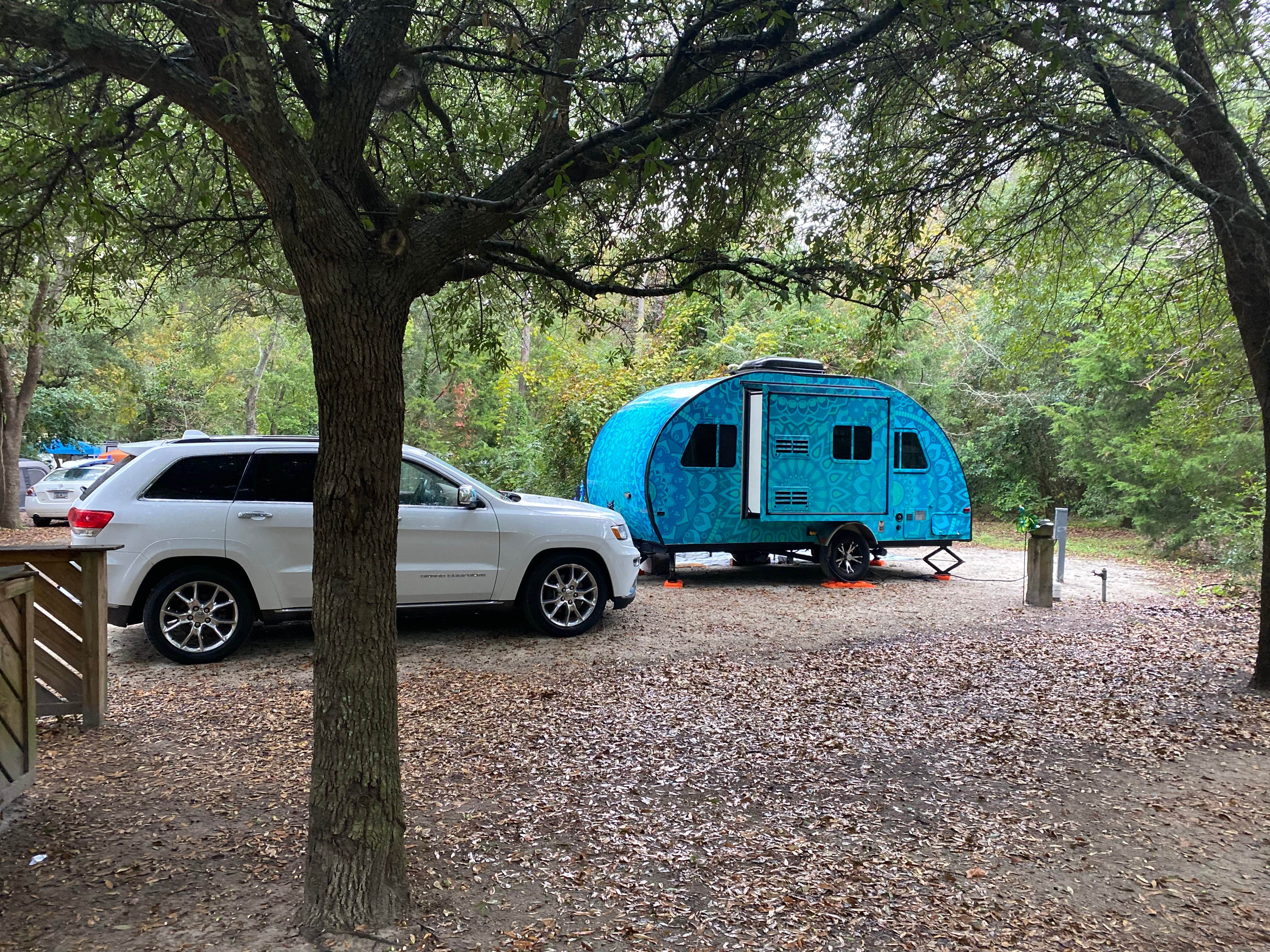 Shelly S.'s photo at Myrtle Beach State Park Campground near Conway, SC