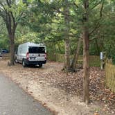 Review photo of Myrtle Beach State Park Campground by Shelly S., November 17, 2022