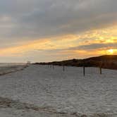 Review photo of Myrtle Beach State Park Campground by Shelly S., November 17, 2022