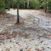 Review photo of Myrtle Beach State Park Campground by Shelly S., November 17, 2022