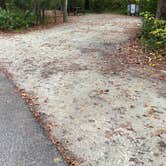 Review photo of Myrtle Beach State Park Campground by Shelly S., November 17, 2022