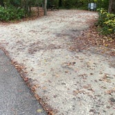Review photo of Myrtle Beach State Park Campground by Shelly S., November 17, 2022