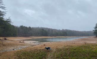 Shelly S.'s photo of camping with pets at Morganton Point Campground near Epworth, GA
