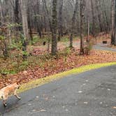 Review photo of Morganton Point Campground by Shelly S., November 17, 2022