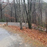 Review photo of Morganton Point Campground by Shelly S., November 17, 2022
