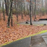 Review photo of Morganton Point Campground by Shelly S., November 17, 2022