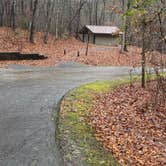 Review photo of Morganton Point Campground by Shelly S., November 17, 2022