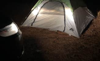 Scarlett C.'s photo of a dispersed camping area at Butner lake WMA near Henderson, NC