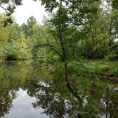 Review photo of Charles A. Lindbergh State Park Campground by Amy G., September 17, 2018