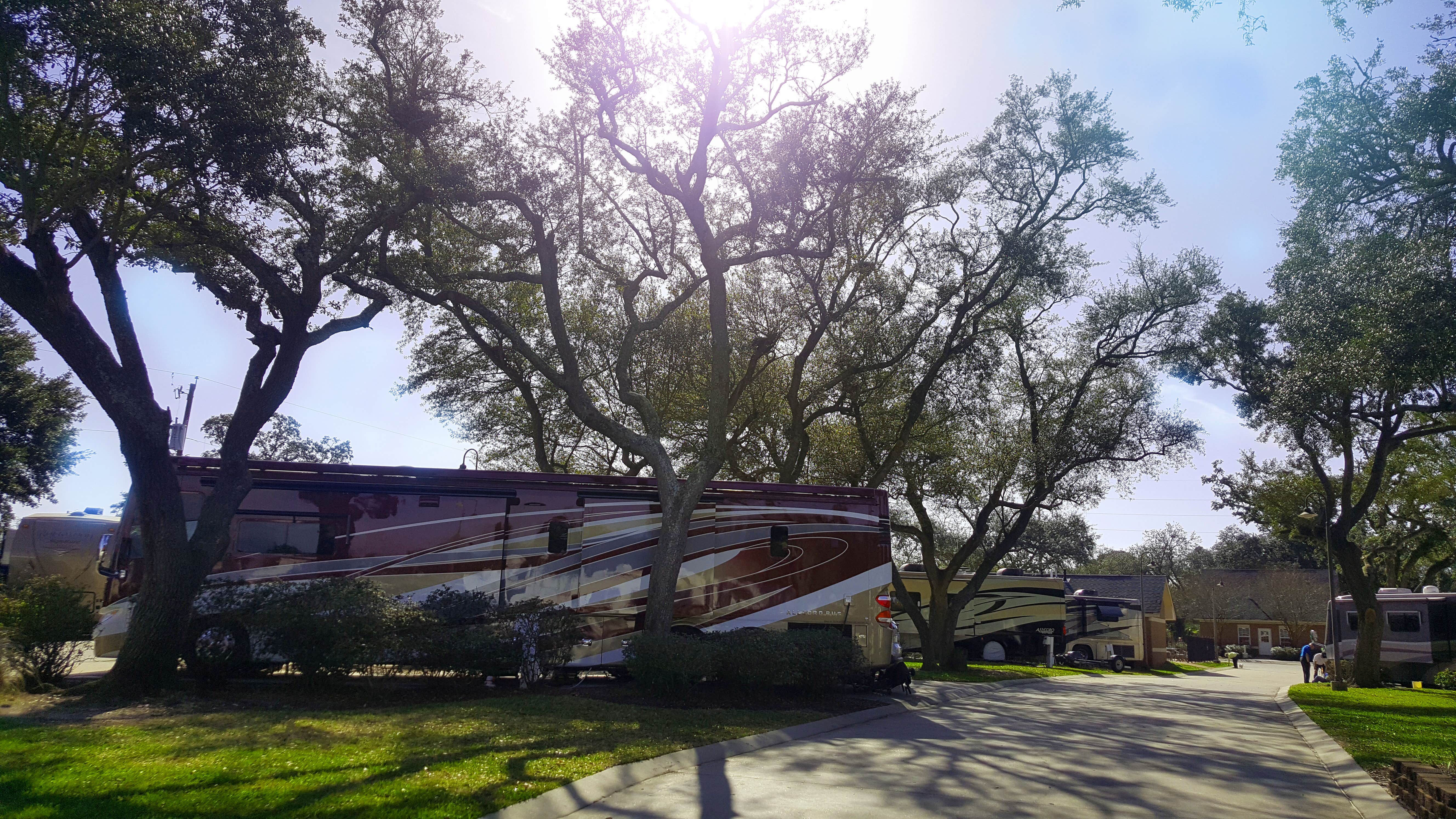 Marques T.'s photo of rv camping at Majestic Oaks RV Resort near Wiggins, MS