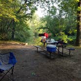Review photo of Charles A. Lindbergh State Park Campground by Amy G., September 17, 2018