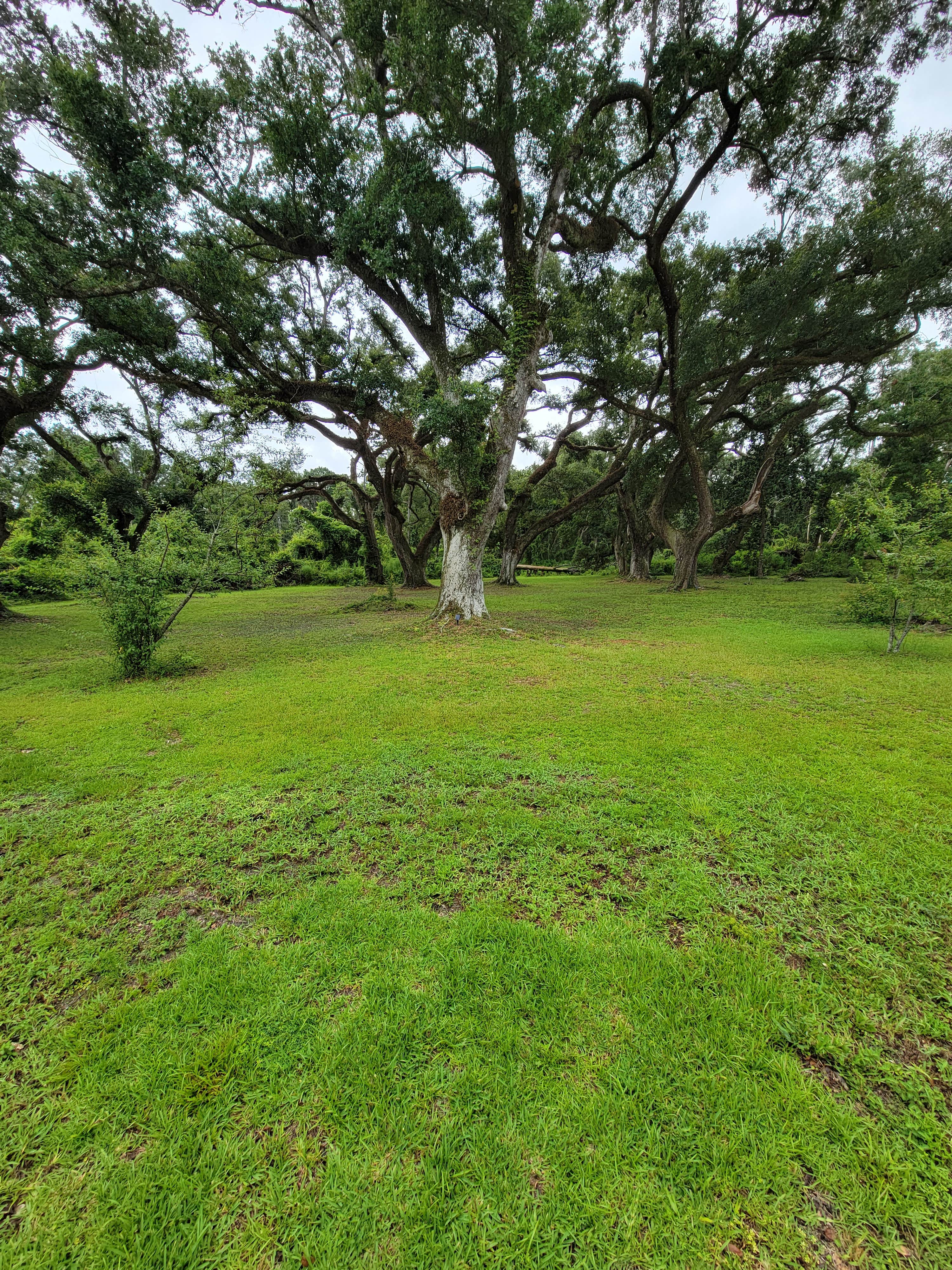 Camping near Magnolia Farms RV Park: Beakertopia, Gulf Shores, Alabama