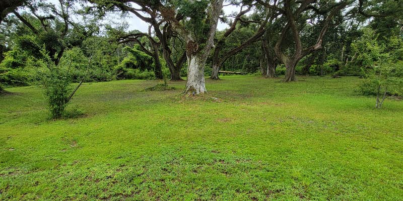 Camper submitted image from Beakertopia