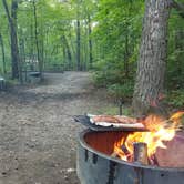 Review photo of Charles A. Lindbergh State Park Campground by Amy G., September 17, 2018