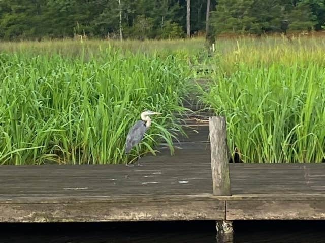 Camper-submitted photo at Sioux Bayou Landing RV near Moss Point, MS