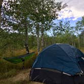 Review photo of Pine Creek - Cottonwood Campground — Wasatch Mountain State Park by Jillian A., September 17, 2018