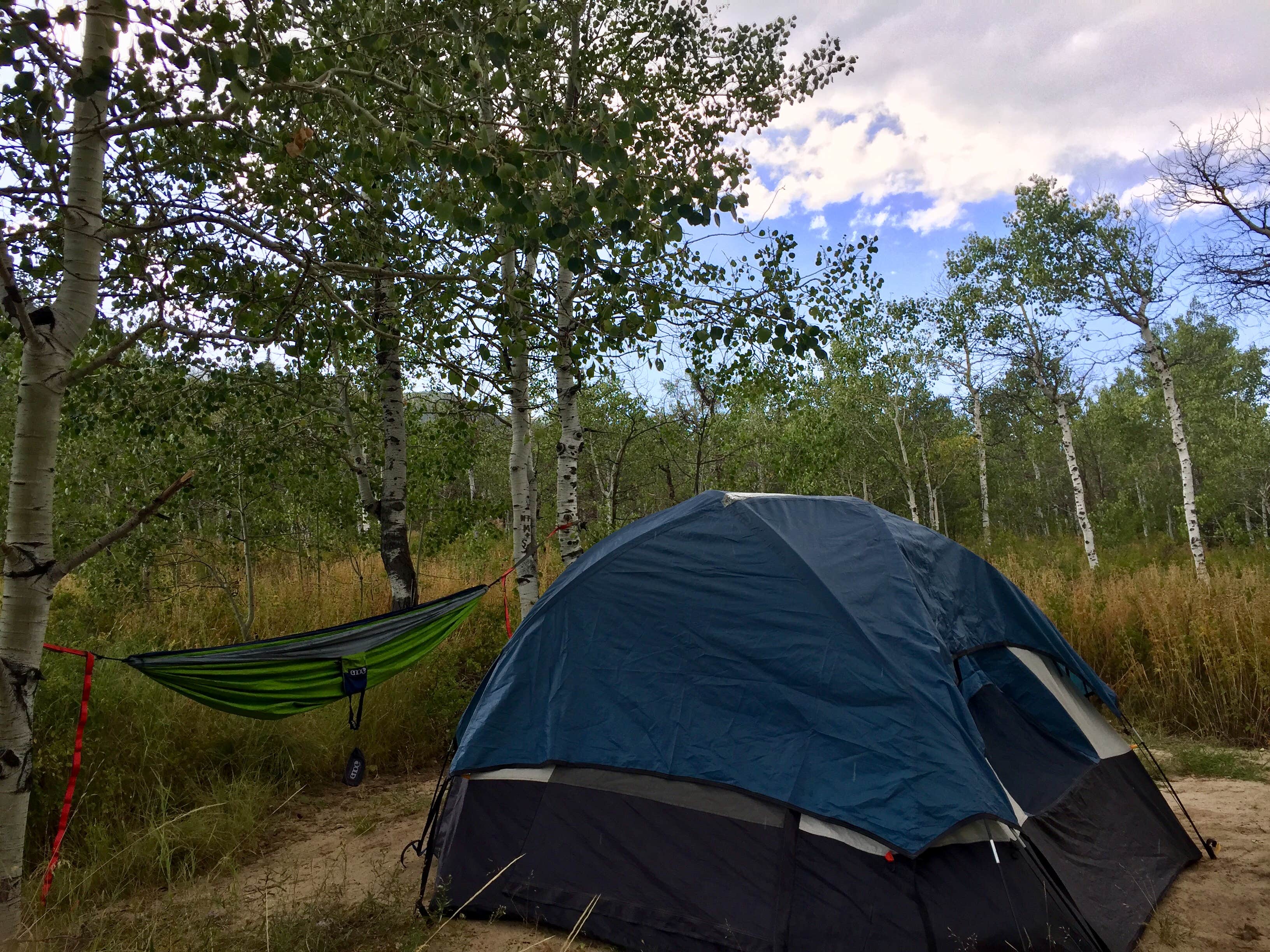 Camper submitted image from Pine Creek - Cottonwood Campground — Wasatch Mountain State Park - 5