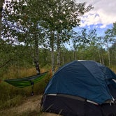 Review photo of Little Deer Creek — Wasatch Mountain State Park by Jillian A., September 17, 2018
