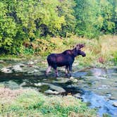 Review photo of Pine Creek - Cottonwood Campground — Wasatch Mountain State Park by Jillian A., September 17, 2018