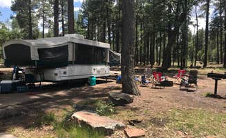 Trace P.'s photo of rv camping at Aspen Campground near Blue, AZ