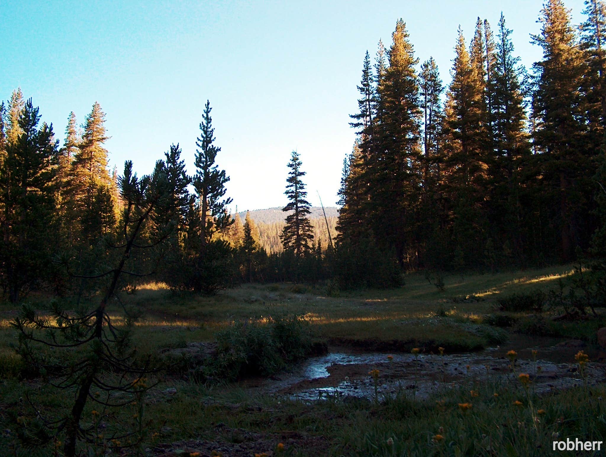 Camping near Coldwater Campground: Deer Creek Dispersed, Mammoth Lakes, California