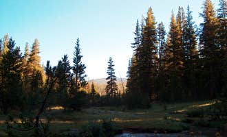 Camping near Lake George Campground: Deer Creek Dispersed, Mammoth Lakes, California