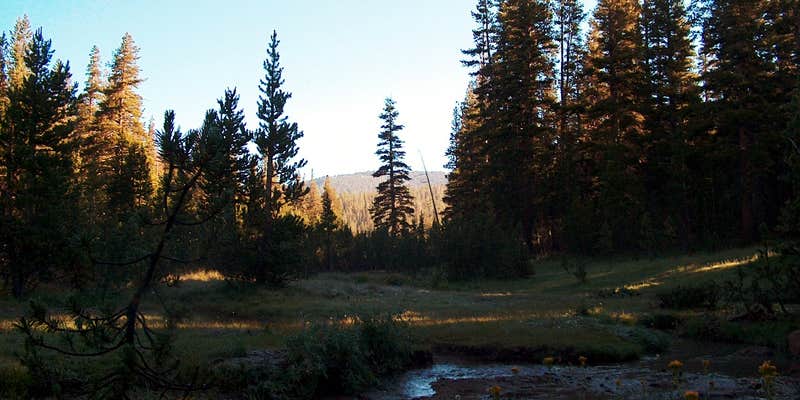 Camper submitted image from Deer Creek Dispersed