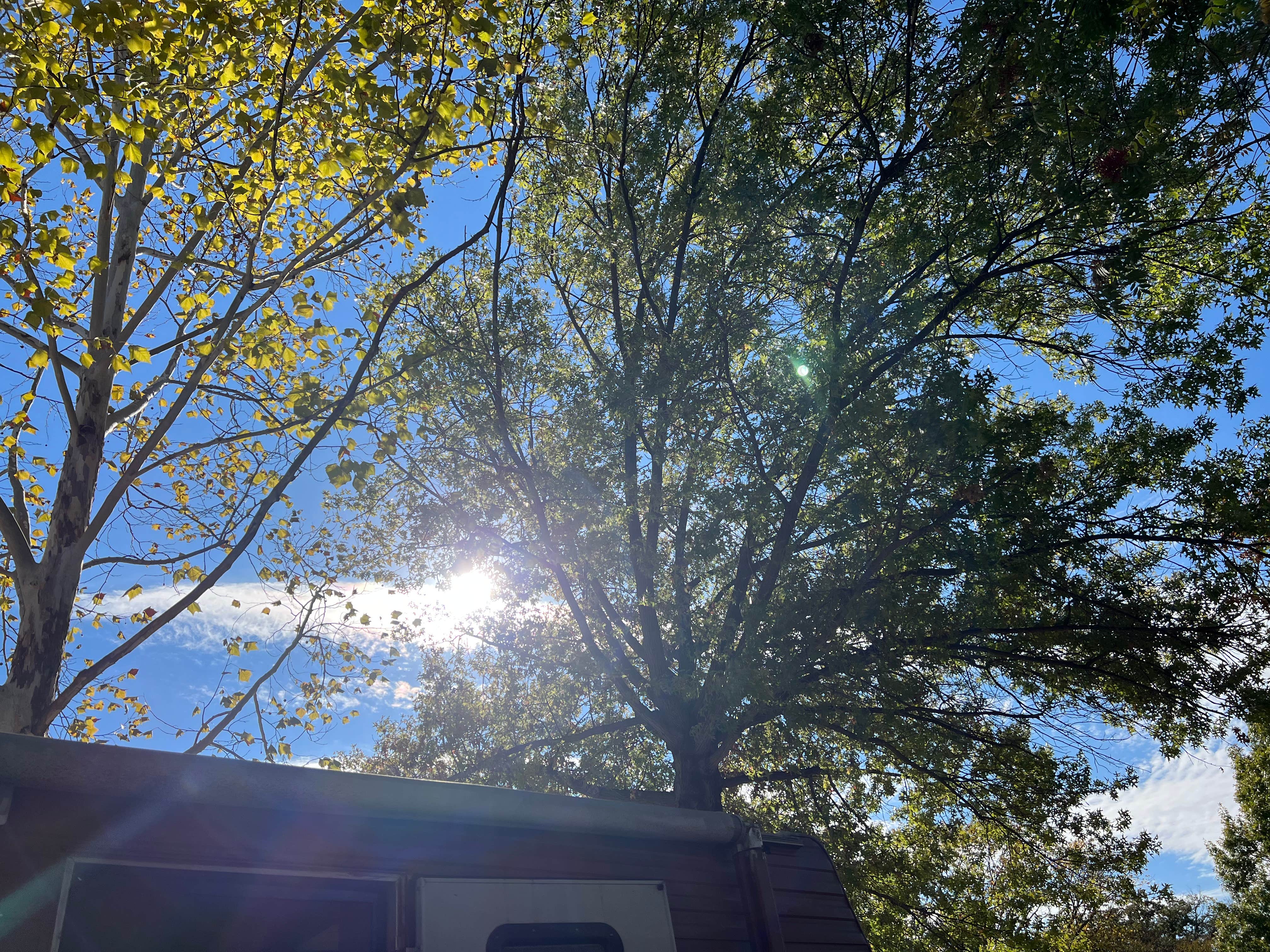 Camper-submitted photo at Treetops RV Resort near Aledo, TX