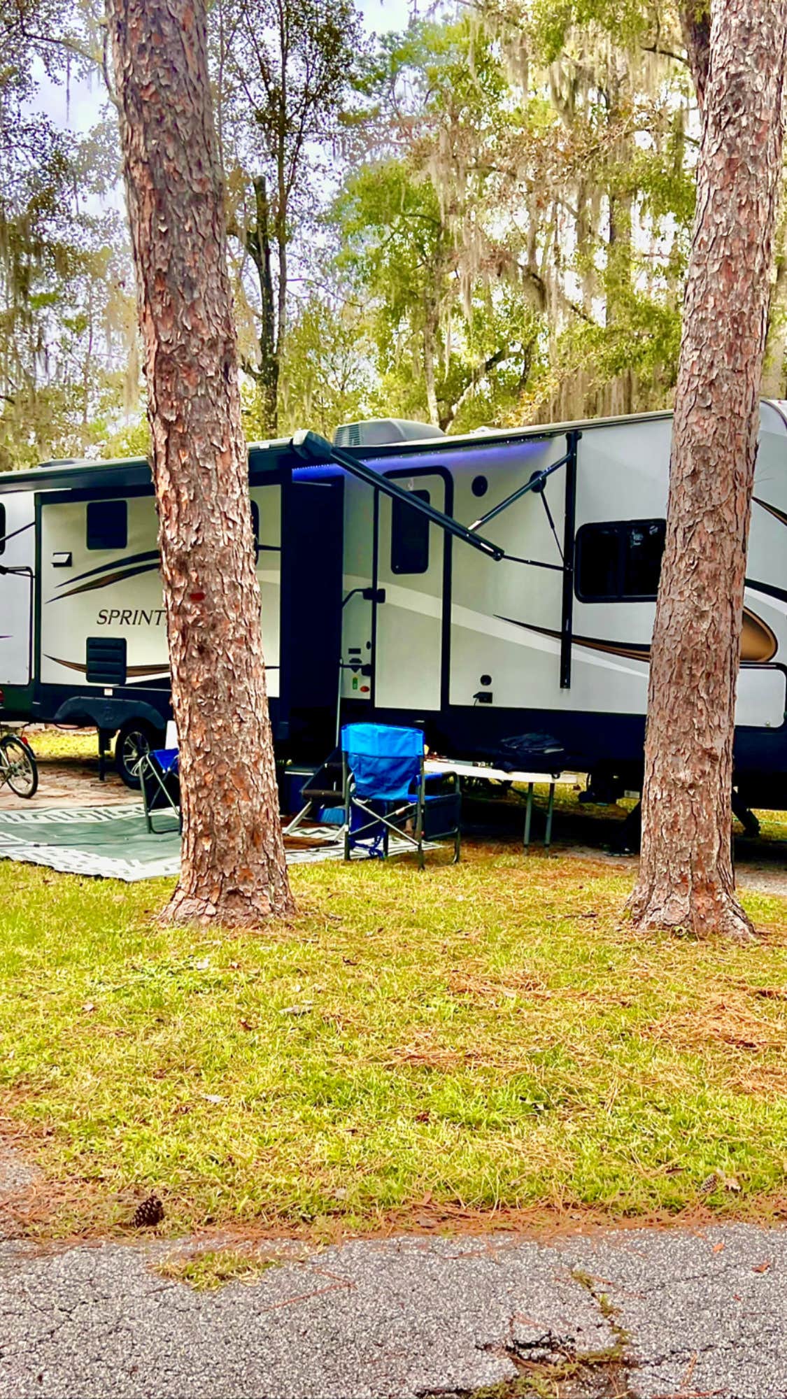 Camper submitted image from Encore Clover Leaf Forest RV Resort - 4